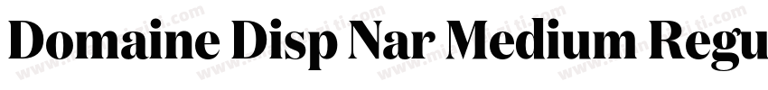 Domaine Disp Nar Medium Regular字体转换